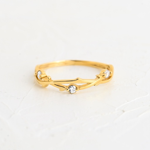 ANILLO CIRCÓN ÍGNEA