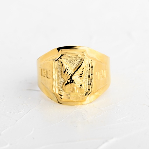 [AN1500] ANILLO HOMBRE GUARDIAN DEL ALBA